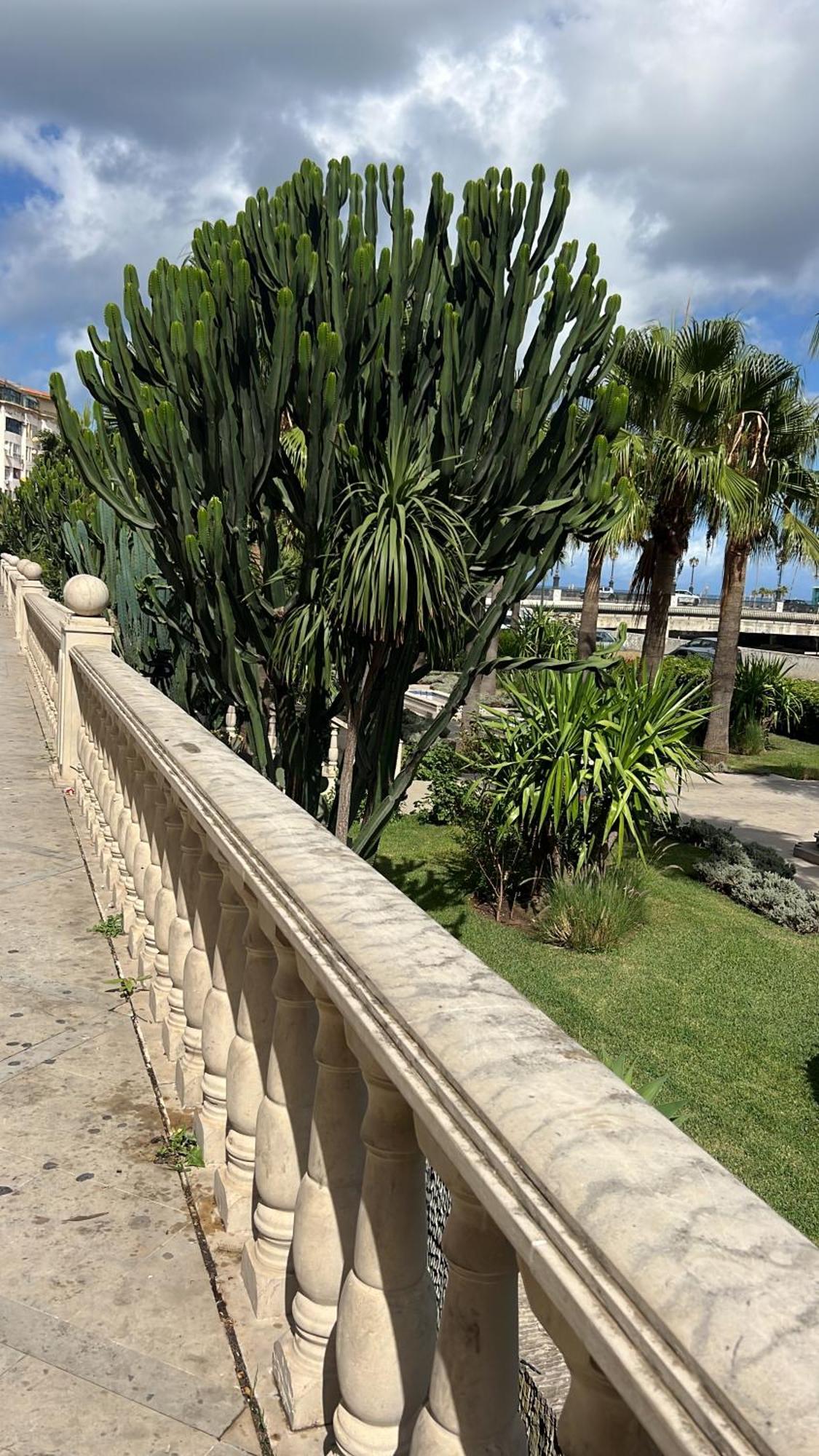Les Terrasses De Malabata Apartamento Tânger Exterior foto